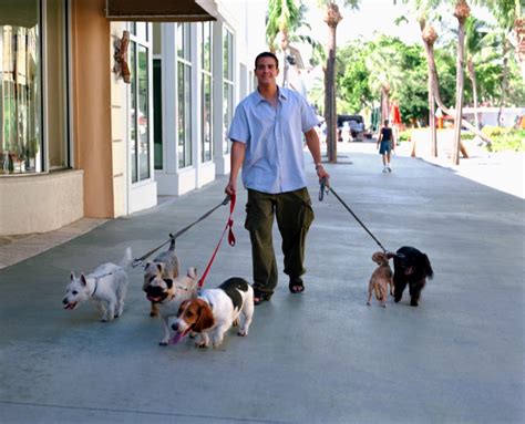 Paseadores de perros en Getafe